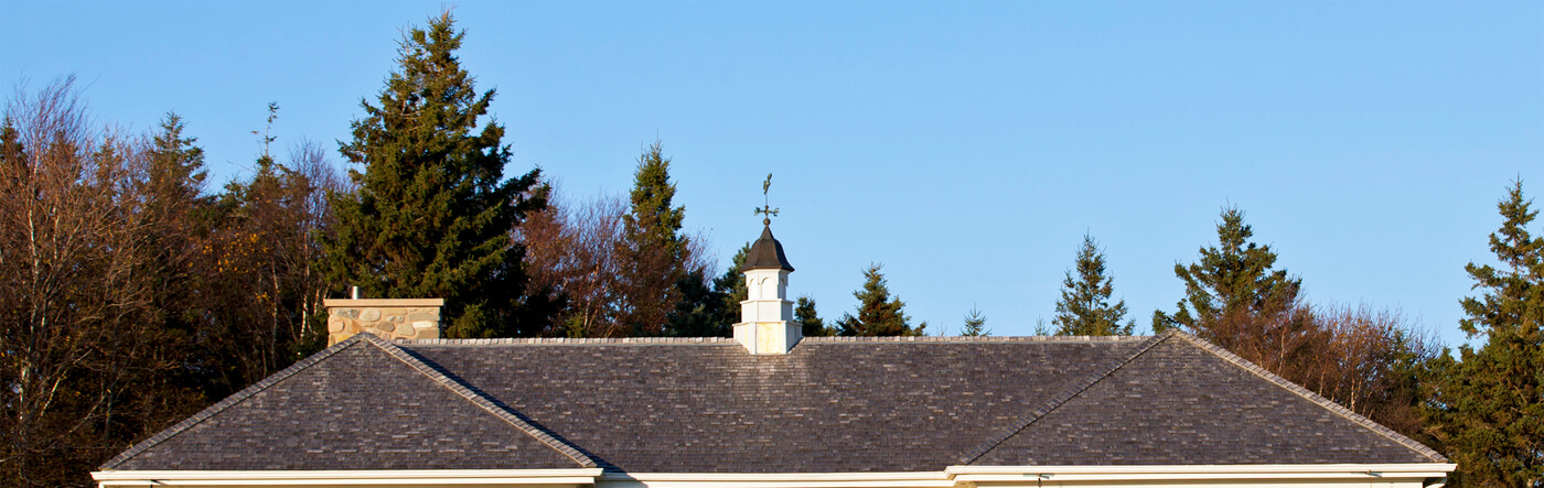 Picture of a Residential Home